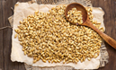 Conoscere i cereali: farro e orzo