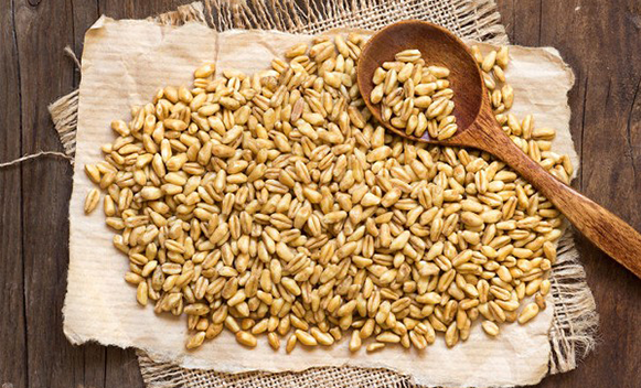 Conoscere i cereali: farro e orzo